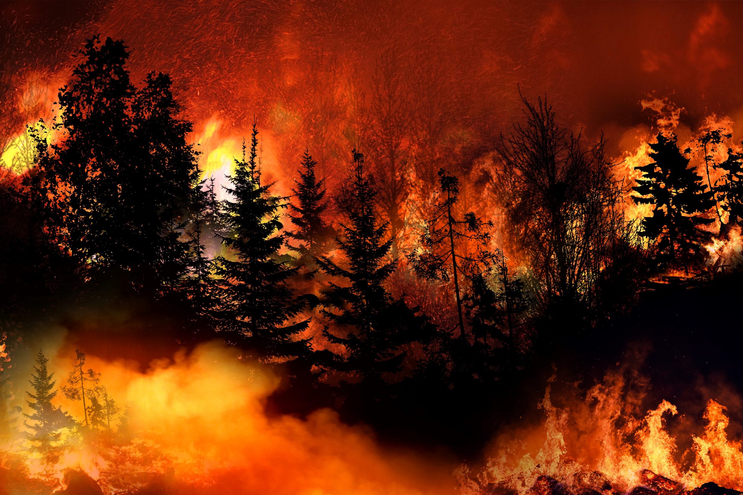 2560x1707 Progress in Western Balkans and wildfires in Western Europe