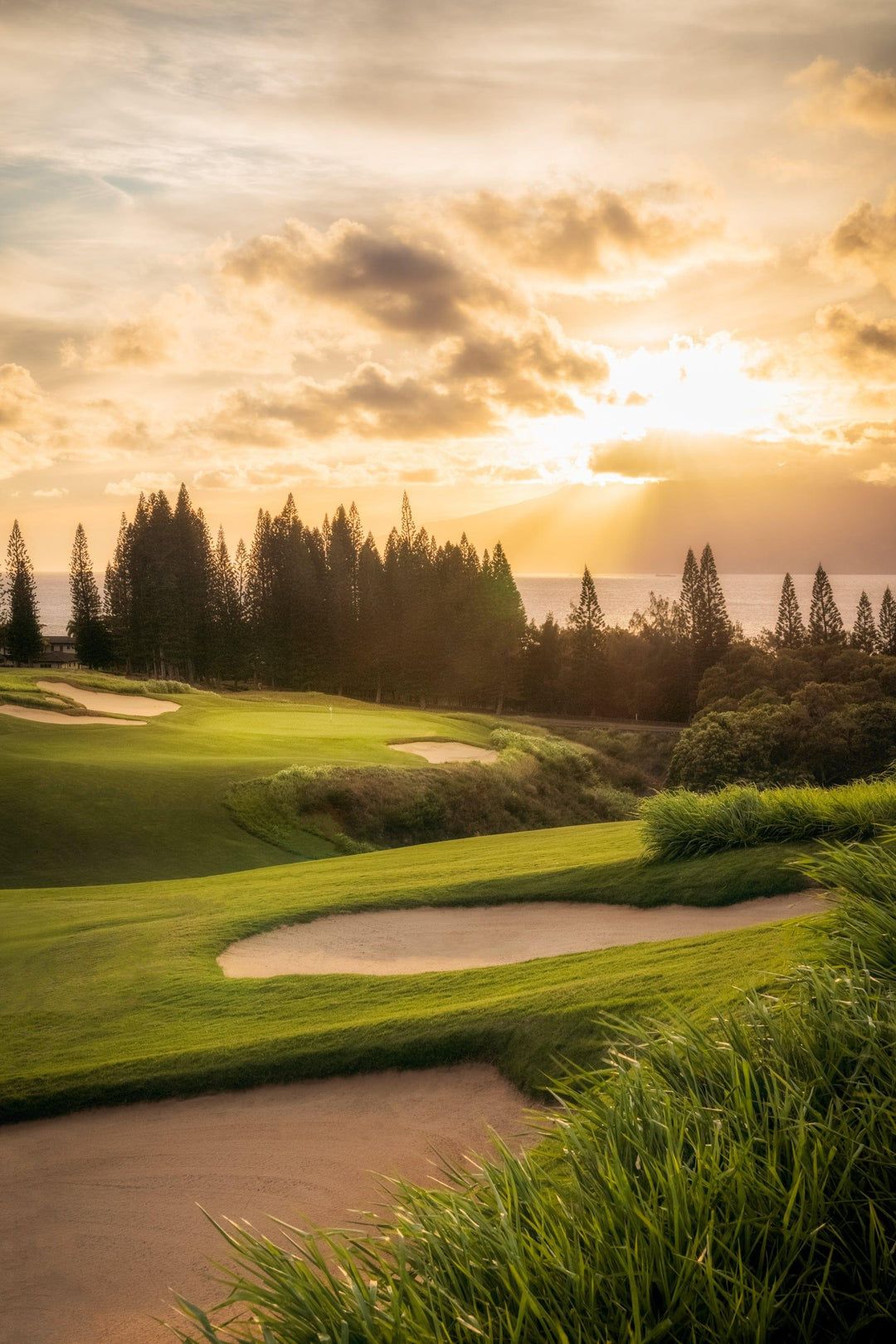 1080x1619 Sunset's Gateway. Kapalua Golf. Plantation Course