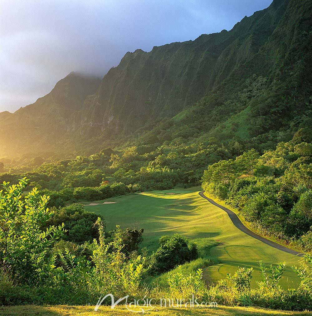 1000x1013 Ko'olau 15th Hole Wallpaper Wall Mural