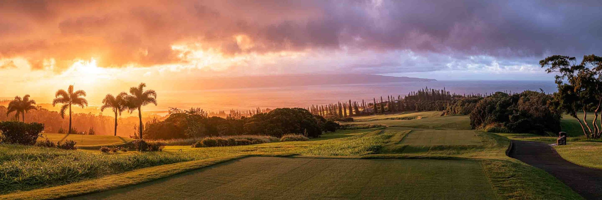 2400x800 Kapalua Golf. Online Wall Art Gallery. Perfect Maui Golf Art Gifts