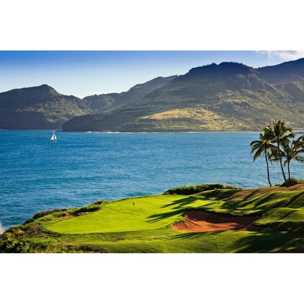1000x1000 Palm Trees In A Golf Course Kauai Lagoons Kauai Hawaii Usa Poster Print (36 X 12), Size: 36 x 12