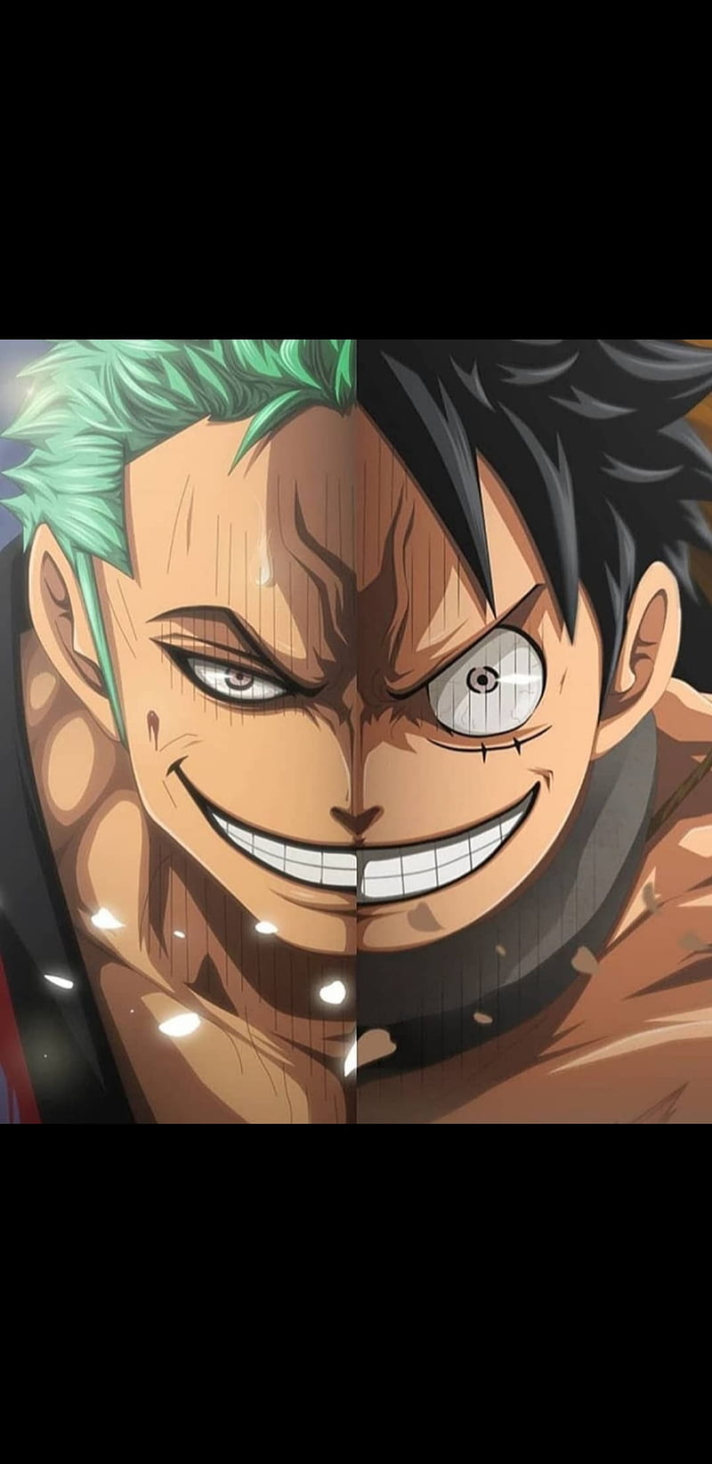 800x1644 LUFFY AND ZORO, one piece, HD phone wallpaper