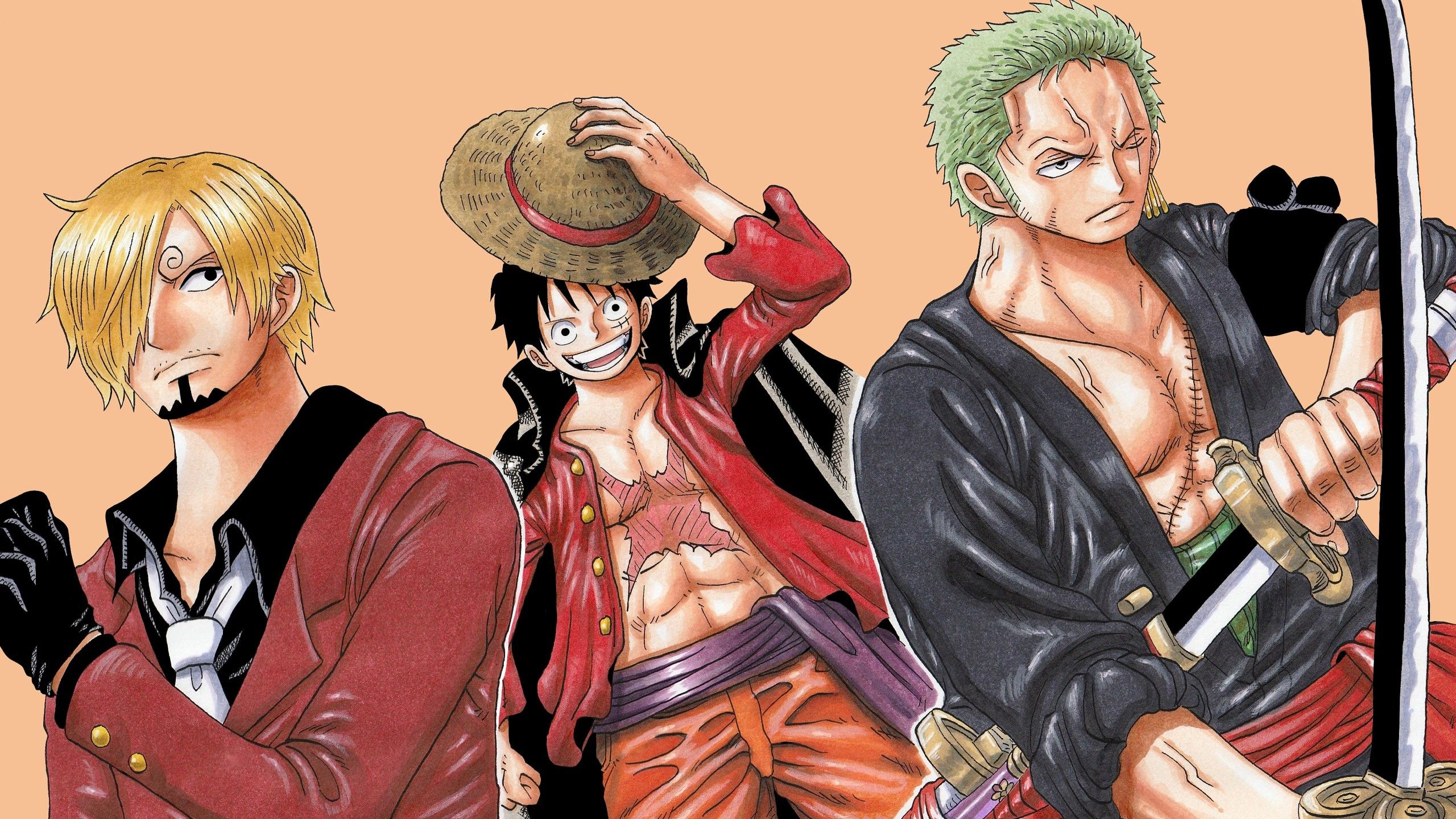 2560x1440 Monkey D. Luffy Roronoa Zoro Sanji HD One Piece Wallpaper