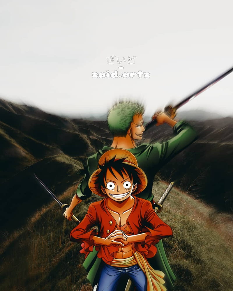 800x1000 Luffy and zoro, anime, one piece, HD phone wallpaper
