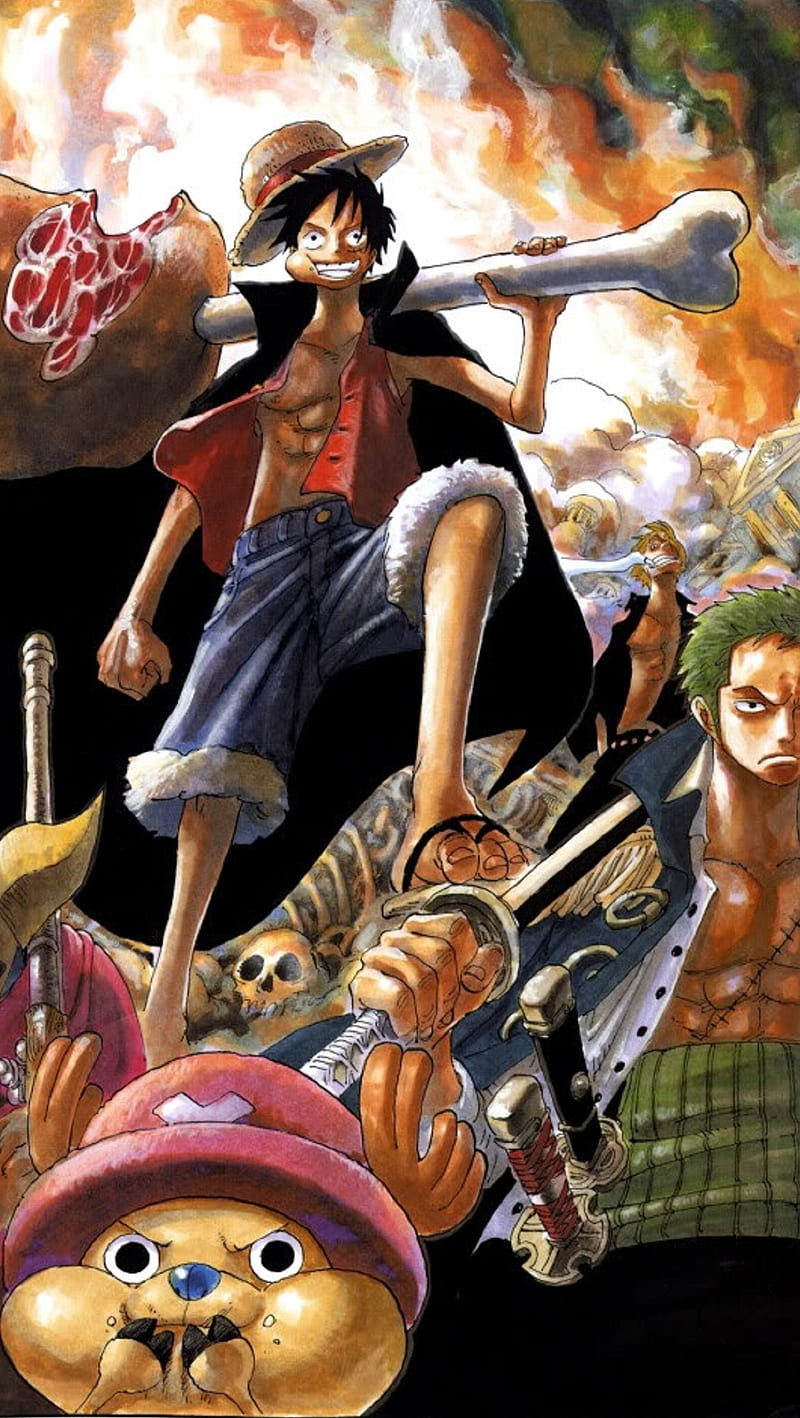 800x1418 One Piece, chopper, luffy, pirates, zoro, HD phone wallpaper