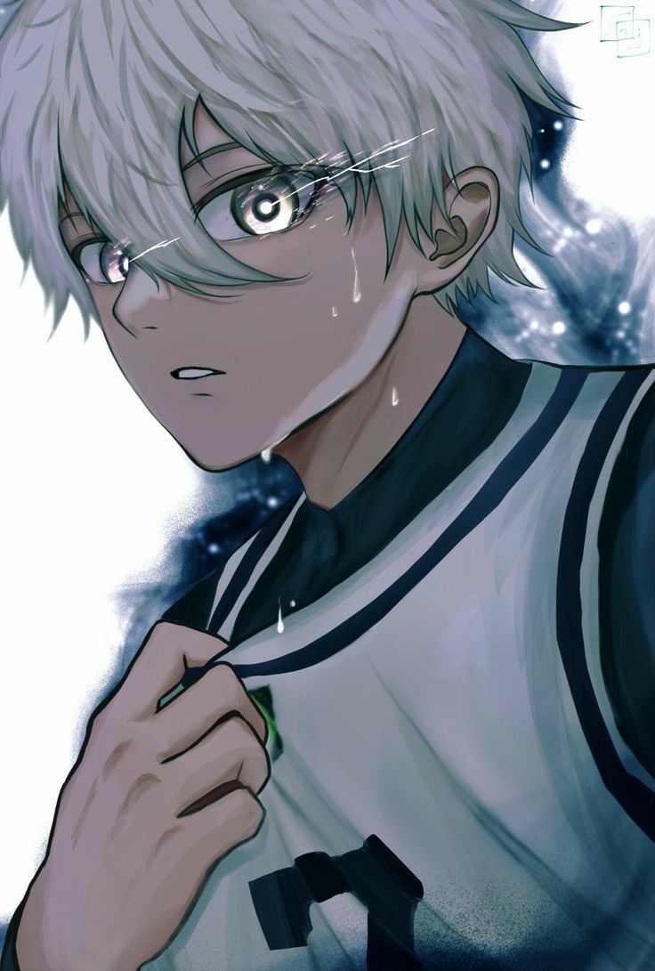 736x1091 