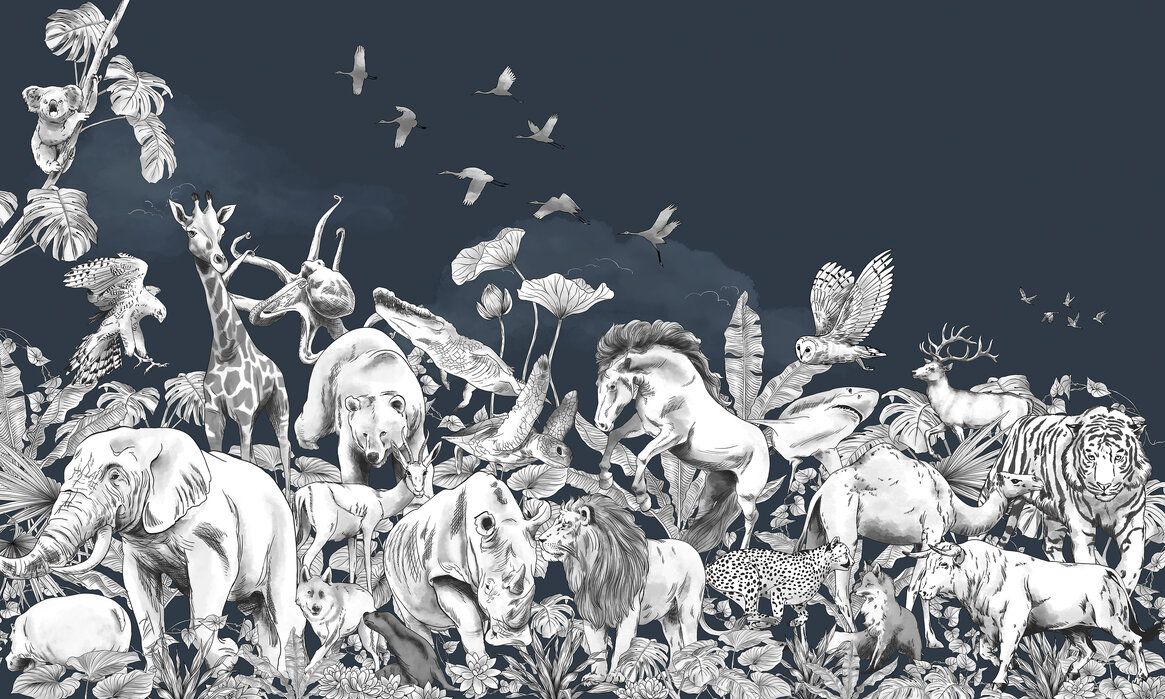 1165x699 Wildlife Animals