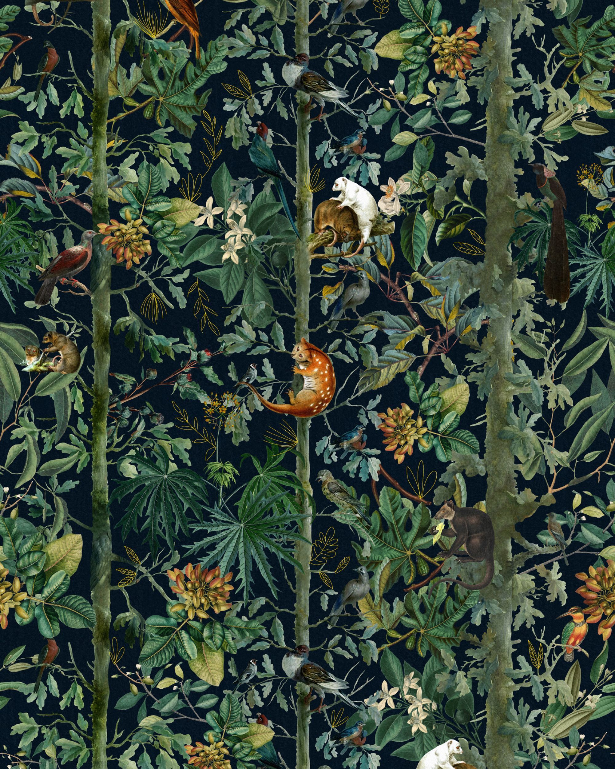 2000x2500 WILDLIFE OF PAPUA Dark Wallpaper