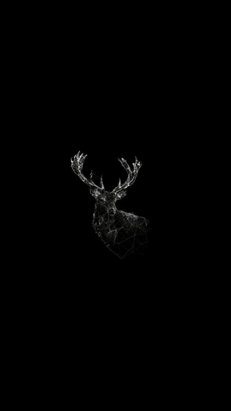 736x1308 AMOLED Animal Wallpaper