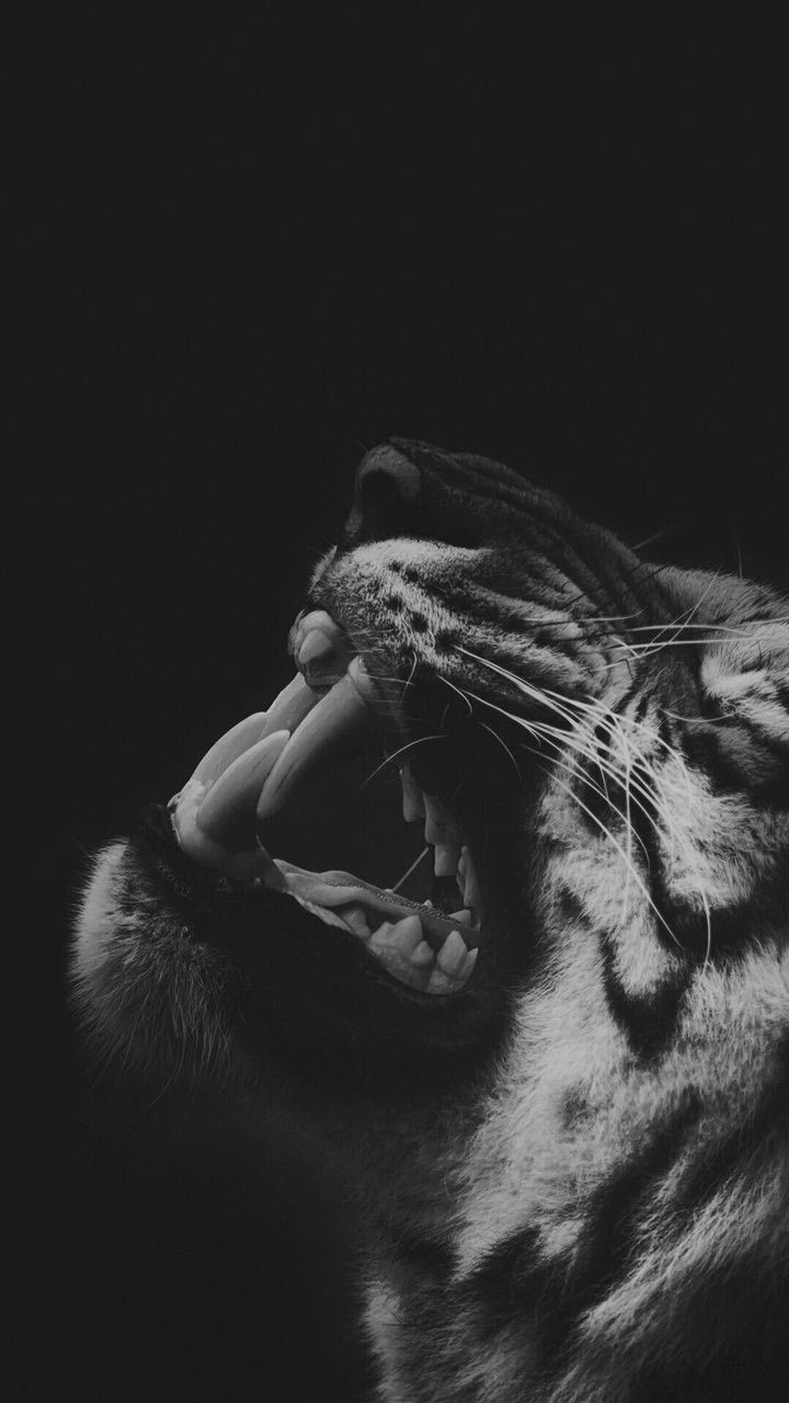 720x1280 Black Wallpaper