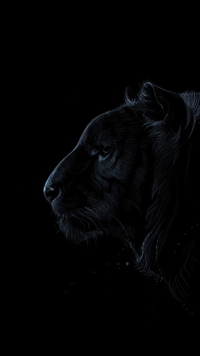 800x1422 Black Tiger, art, dark, HD phone wallpaper