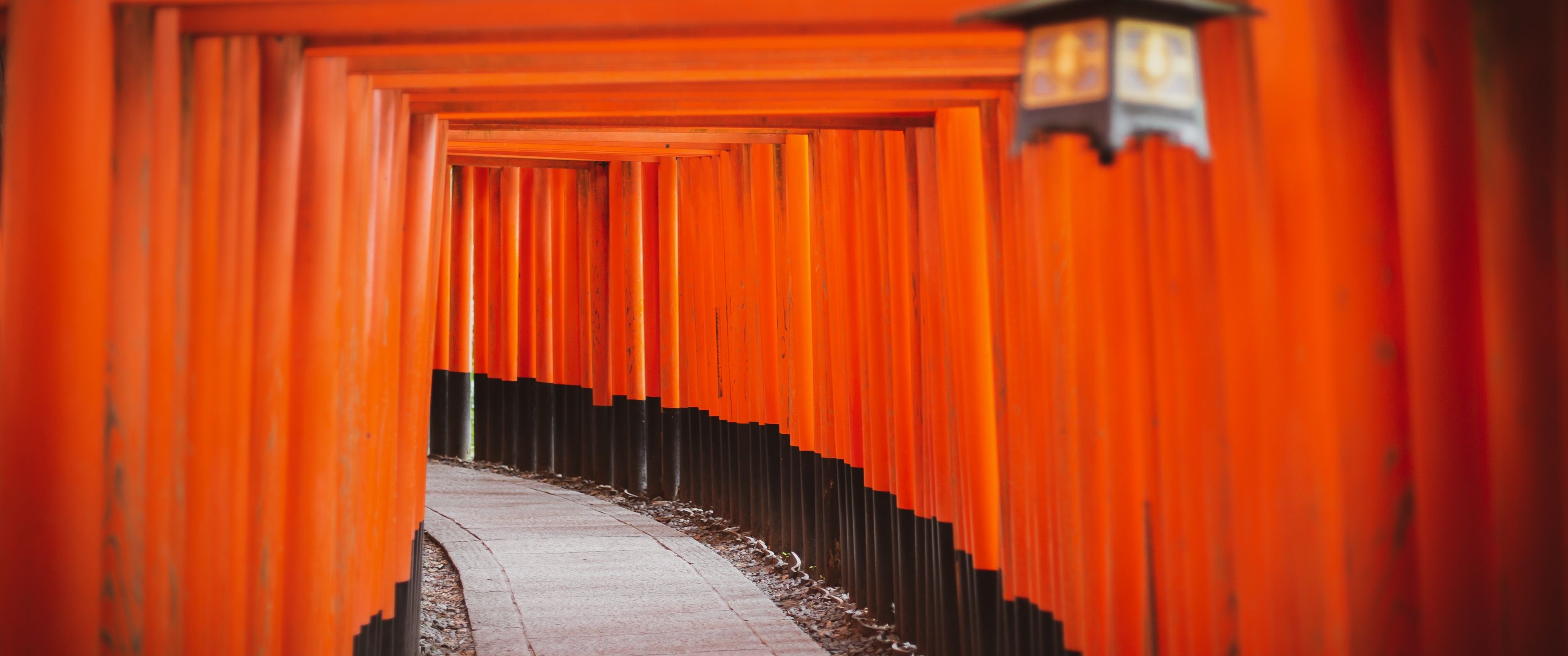 3440x1440 Shinto Shrine Wallpaper 4K, Tokyo, Japanese culture