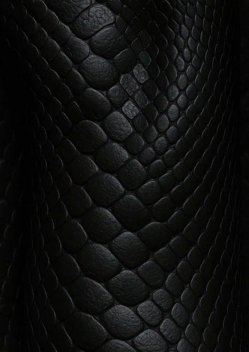 800x1131 Snake Skin Texture Image Wallpaper