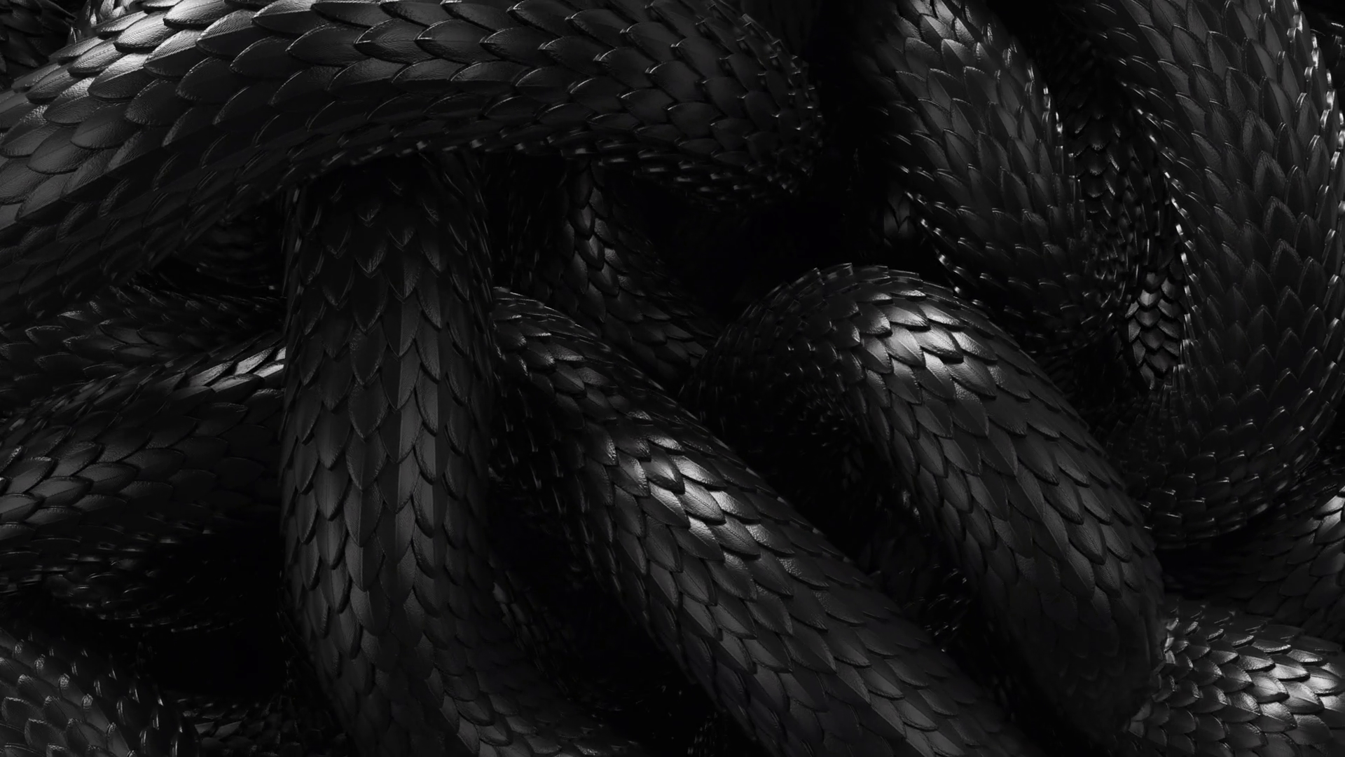1920x1080 Metal Texture Dragon Scales Background. Lively Coiled Black Snakes. 3D Abstract Background Of Intertlaced Serpents. Close Up Of Reptile In Motion