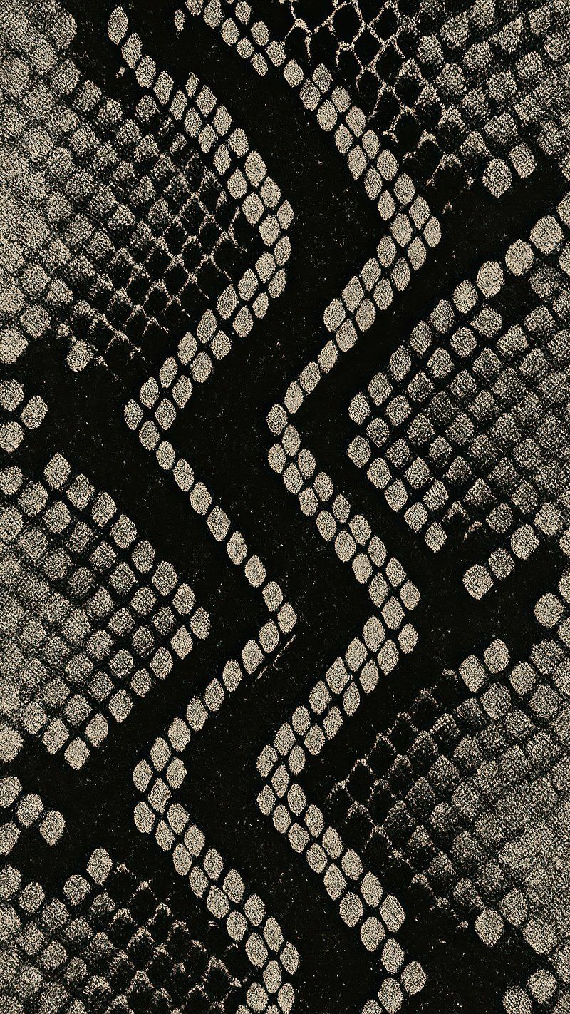 800x1422 Snake Skin Animals Image Animal Image Wallpaper