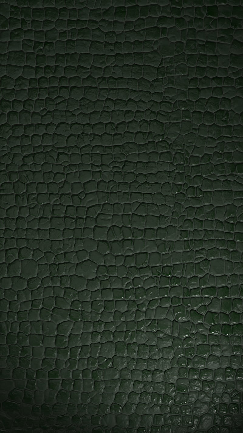800x1422 The Snake, Bertil, green, skin, HD phone wallpaper