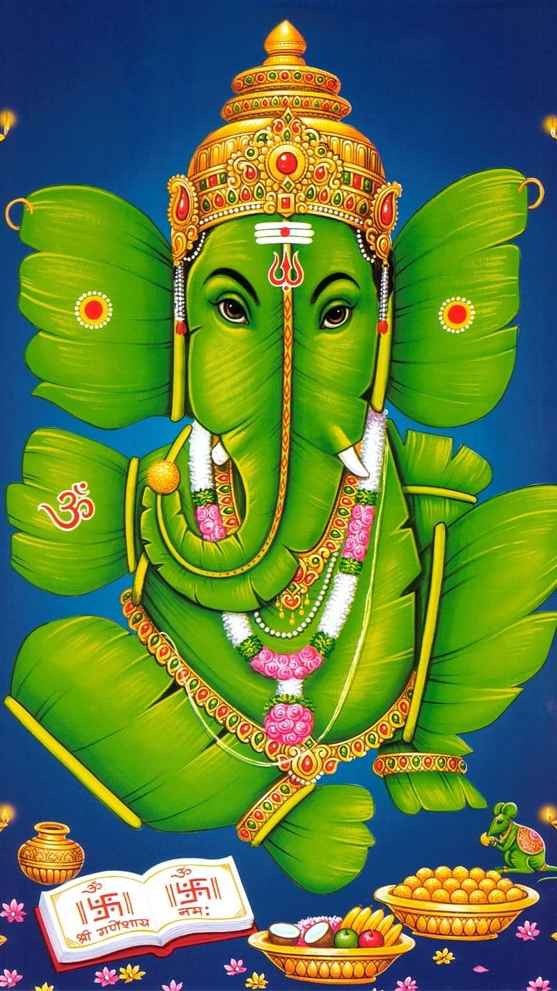 800x1422 Vinayagar, pillayar, vinayaga, HD phone wallpaper
