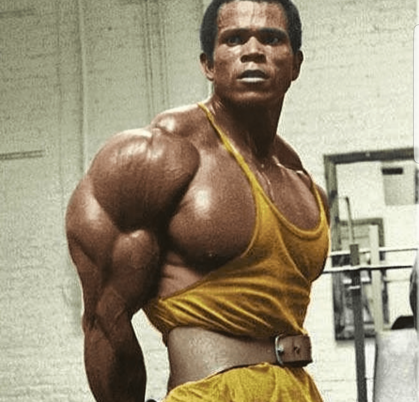 1440x1382 Serge Nubret Wallpaper