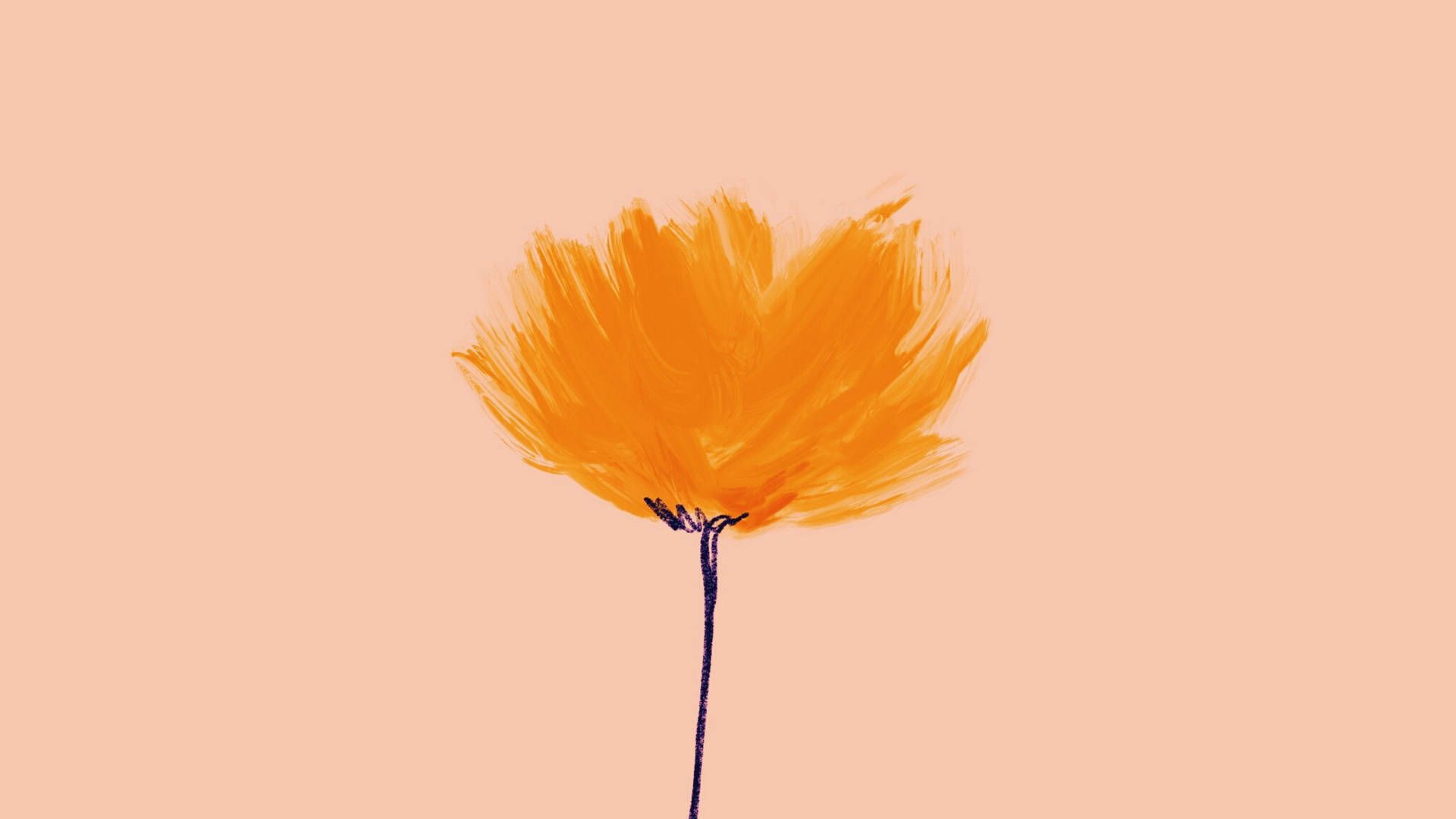 1920x1080 Minimalist Flower Computer Wallpaper