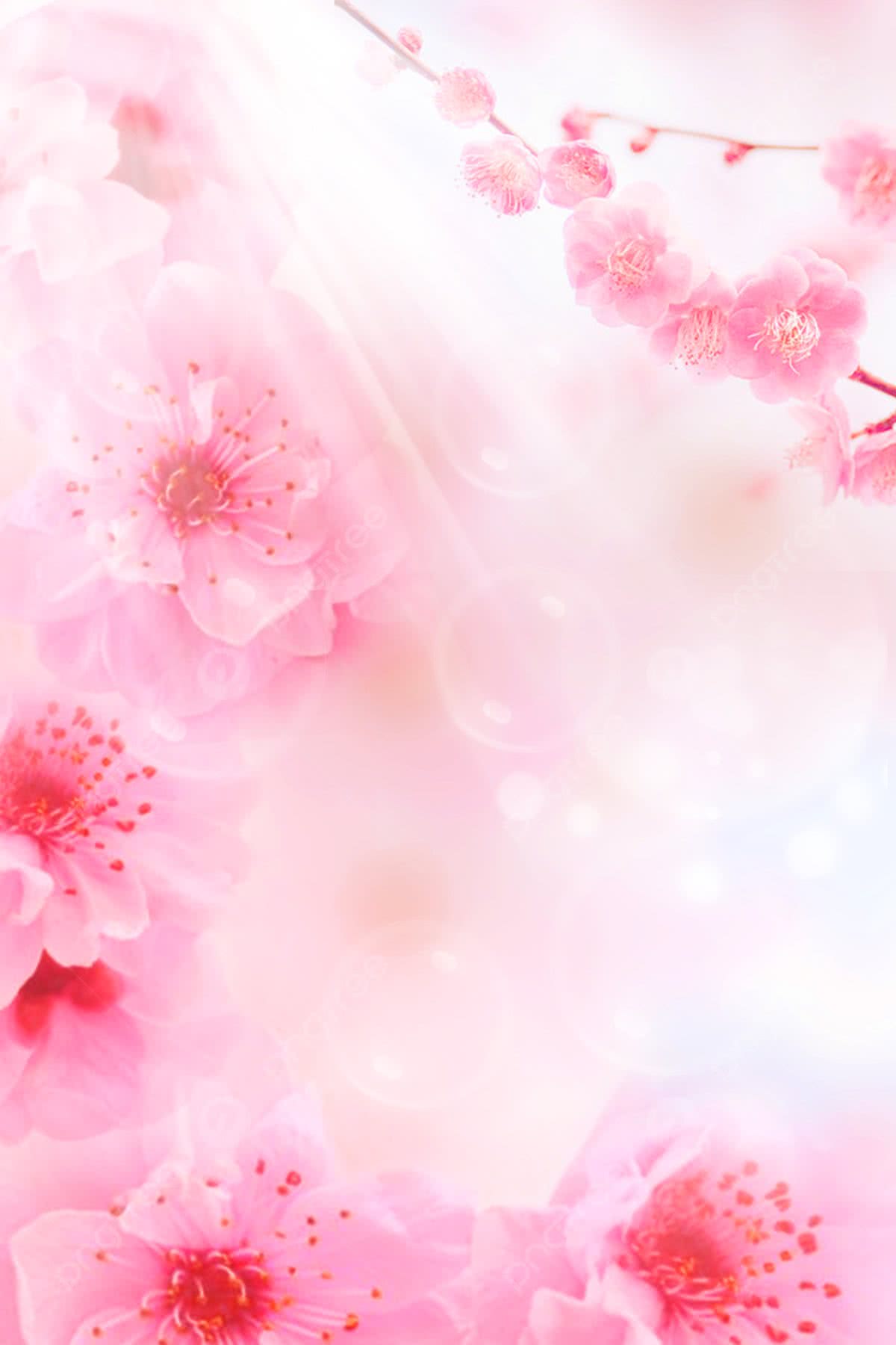1200x1800 Spring Minimalist Peach H5 Background Mobile Phone End Material Wallpaper Image For Free Download
