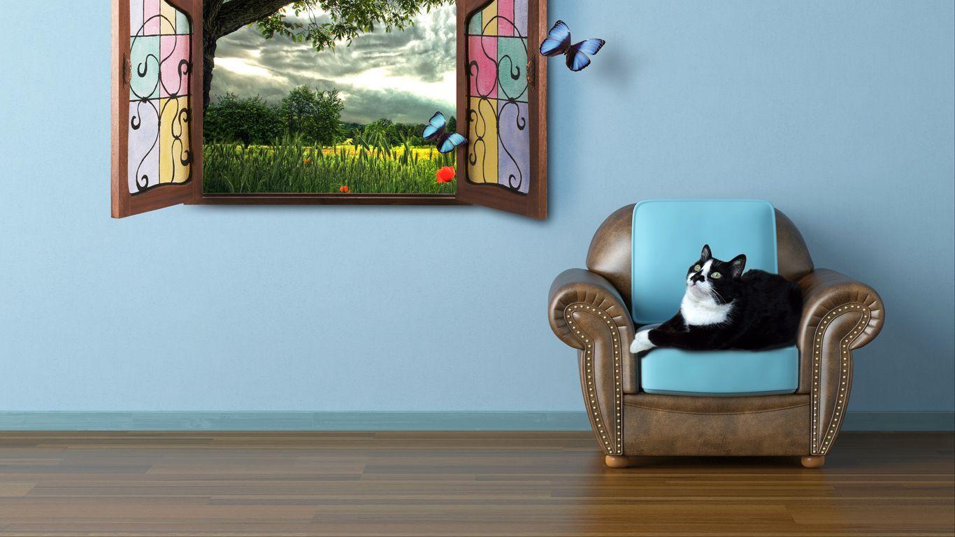 1366x768 Download wallpaper 1366x768 cat, summer, window, watching, fairy