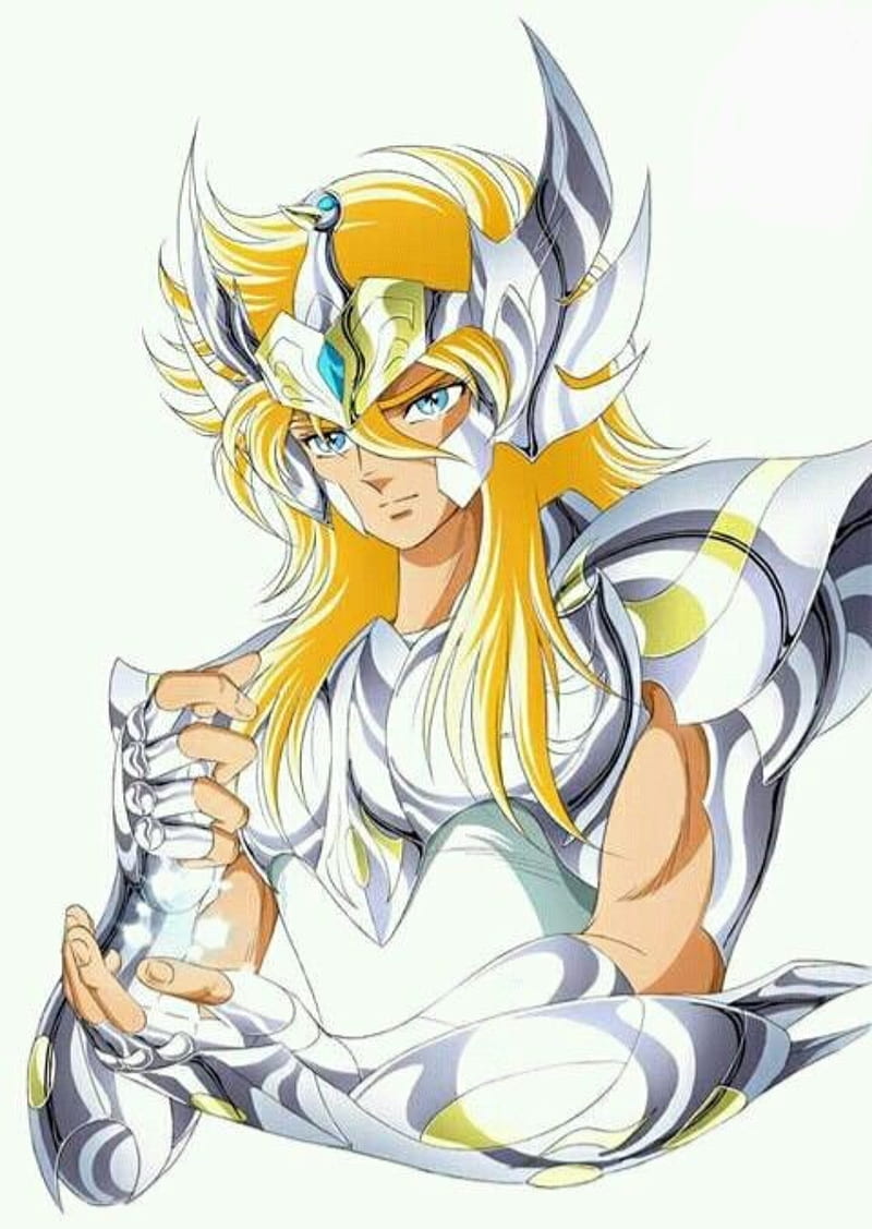 800x1127 Cisne Hyoga, HD phone wallpaper