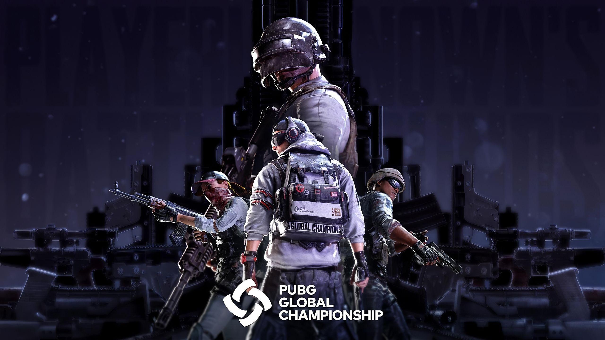 2560x1440 Pubg Global 4k 1440P Resolution HD 4k Wallpaper, Image