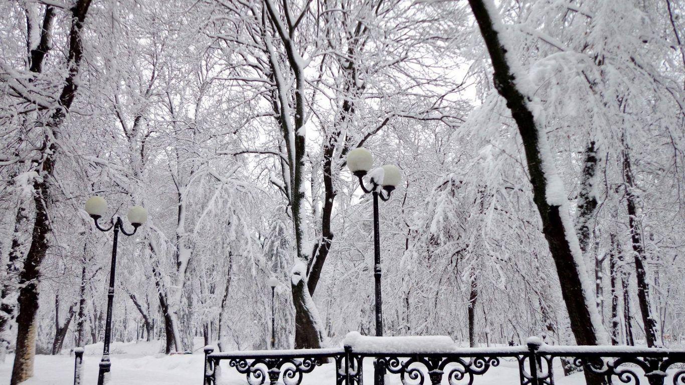 1366x768 Landscapes: Nature Landscape Snow Winter Beautiful Image Wallpaper
