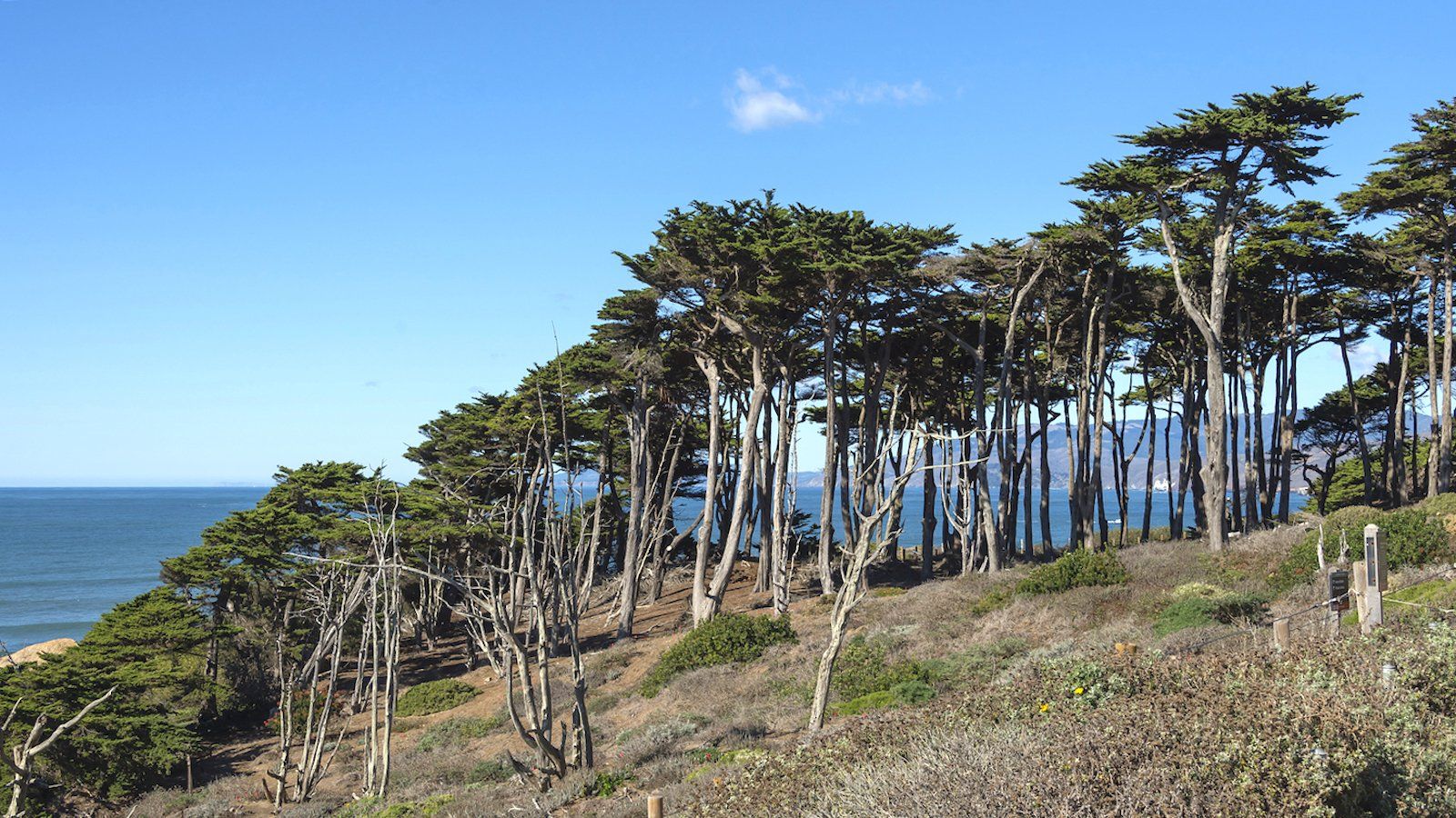 1600x900 Lands End