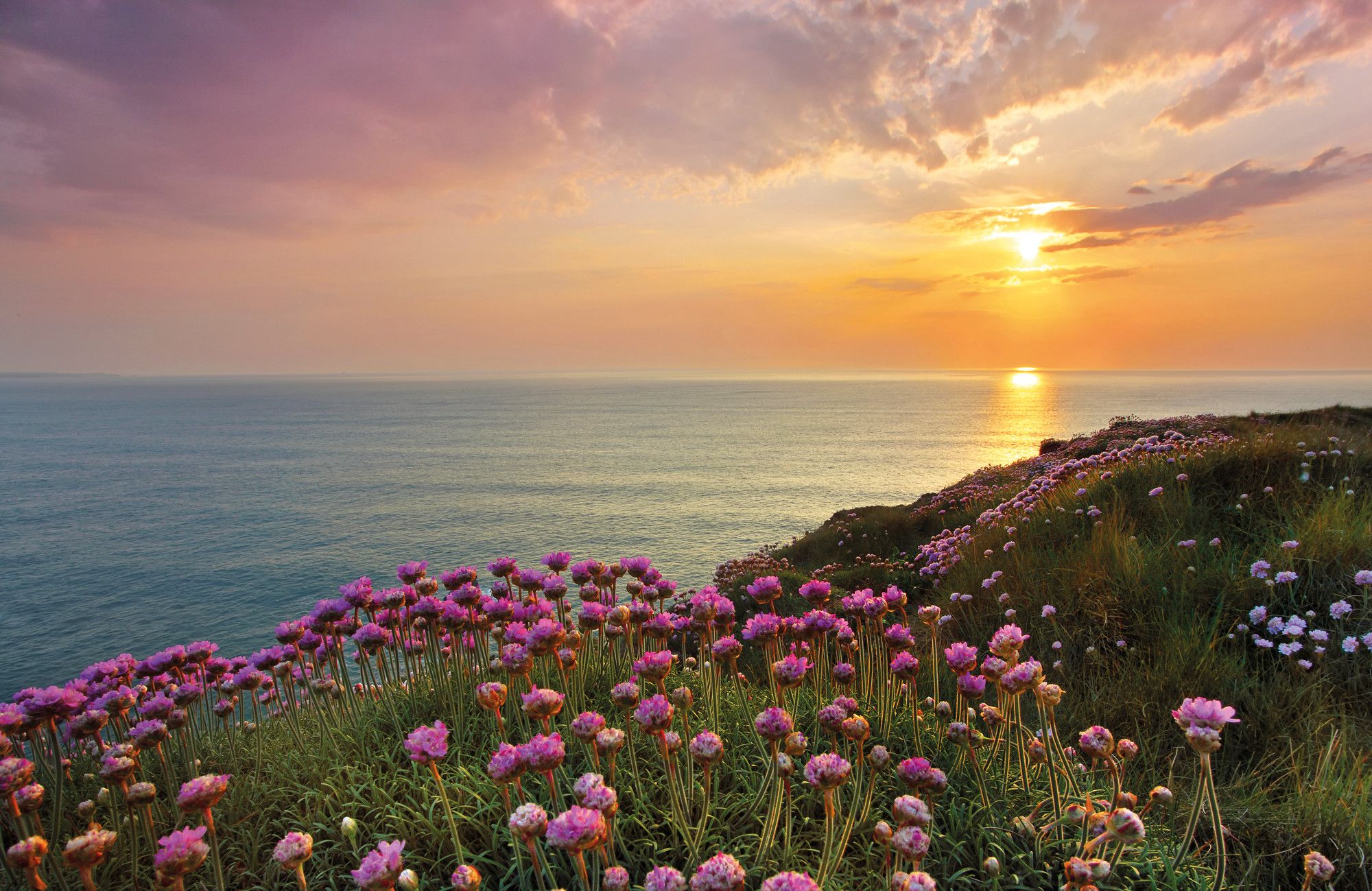 2000x1299 Digitally printed photomural Land's End