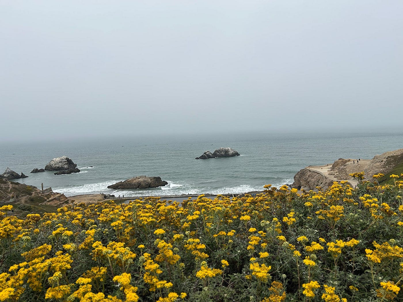 1400x1050 Lands End in San Francisco. Where the ocean meets the bay