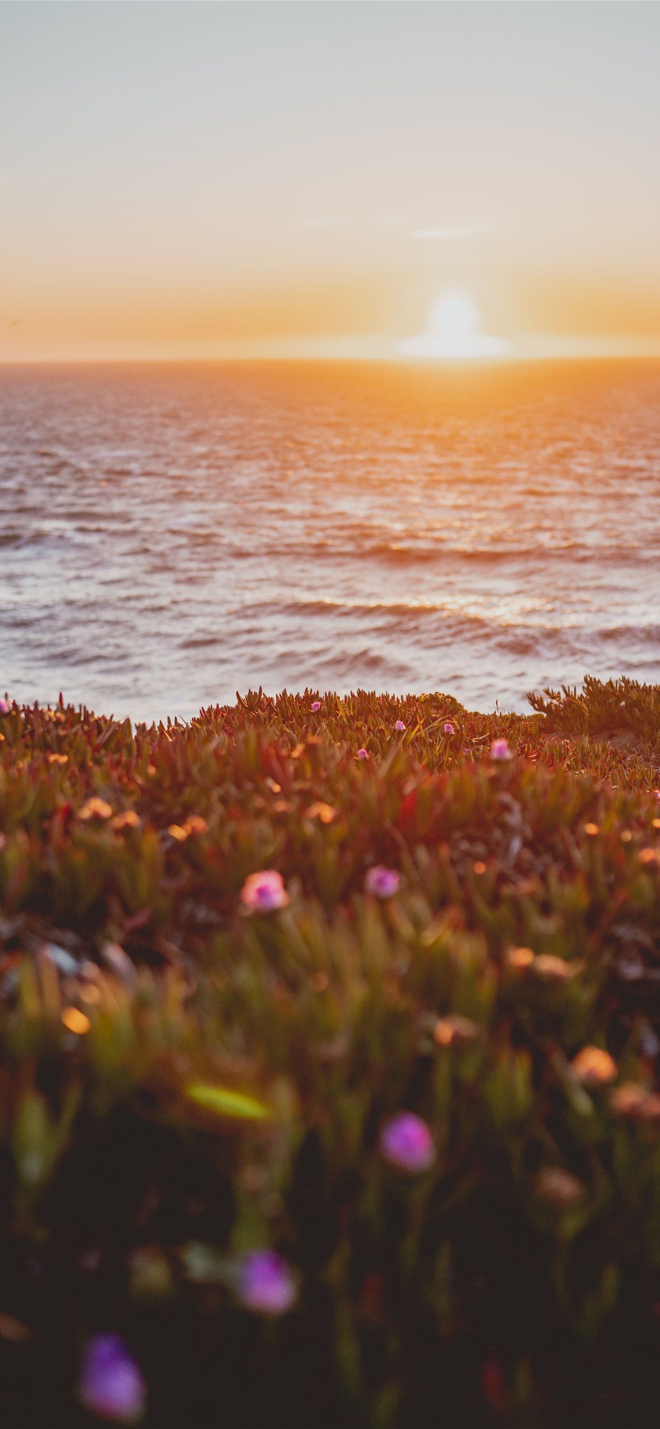 1284x2778 Best Lands end iPhone HD Wallpaper