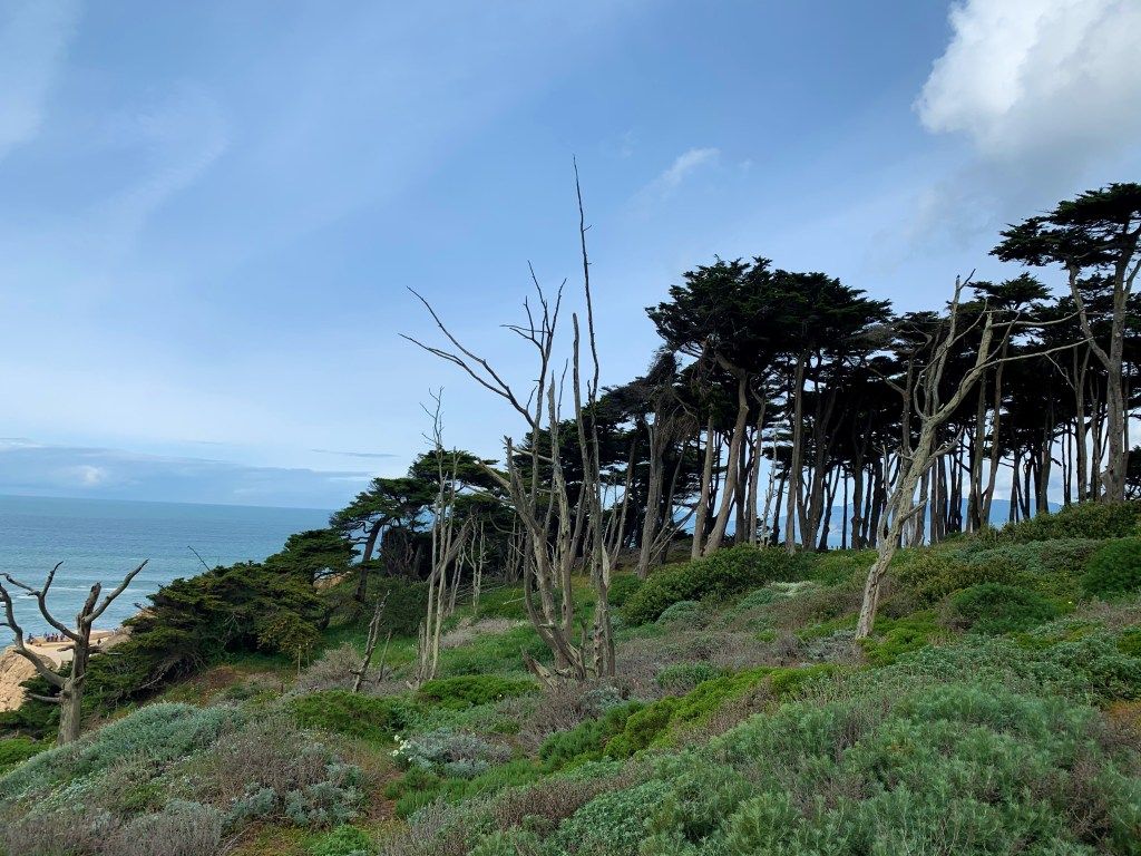 1024x768 Lands End Park San Francisco