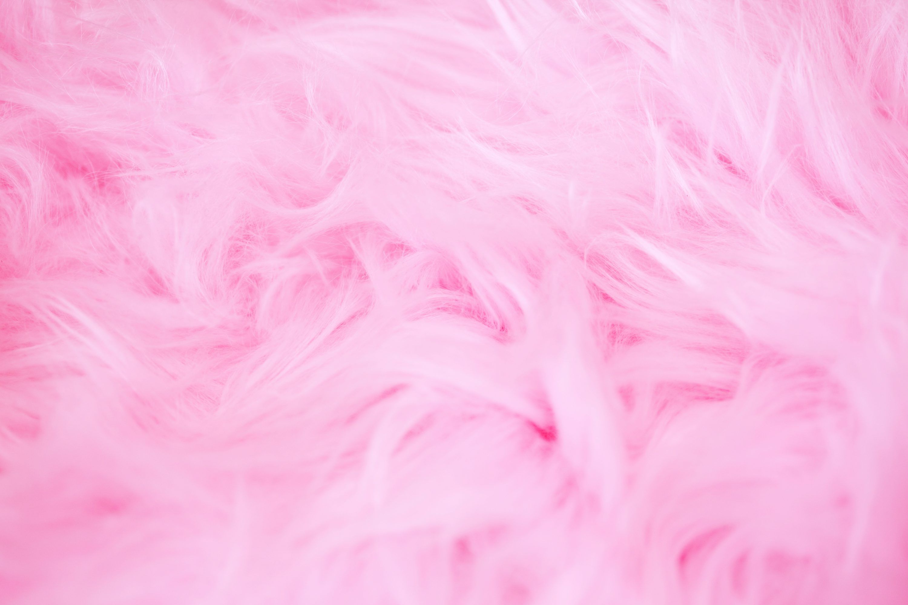 3000x2000 Girly Background Picture. Download Free Image