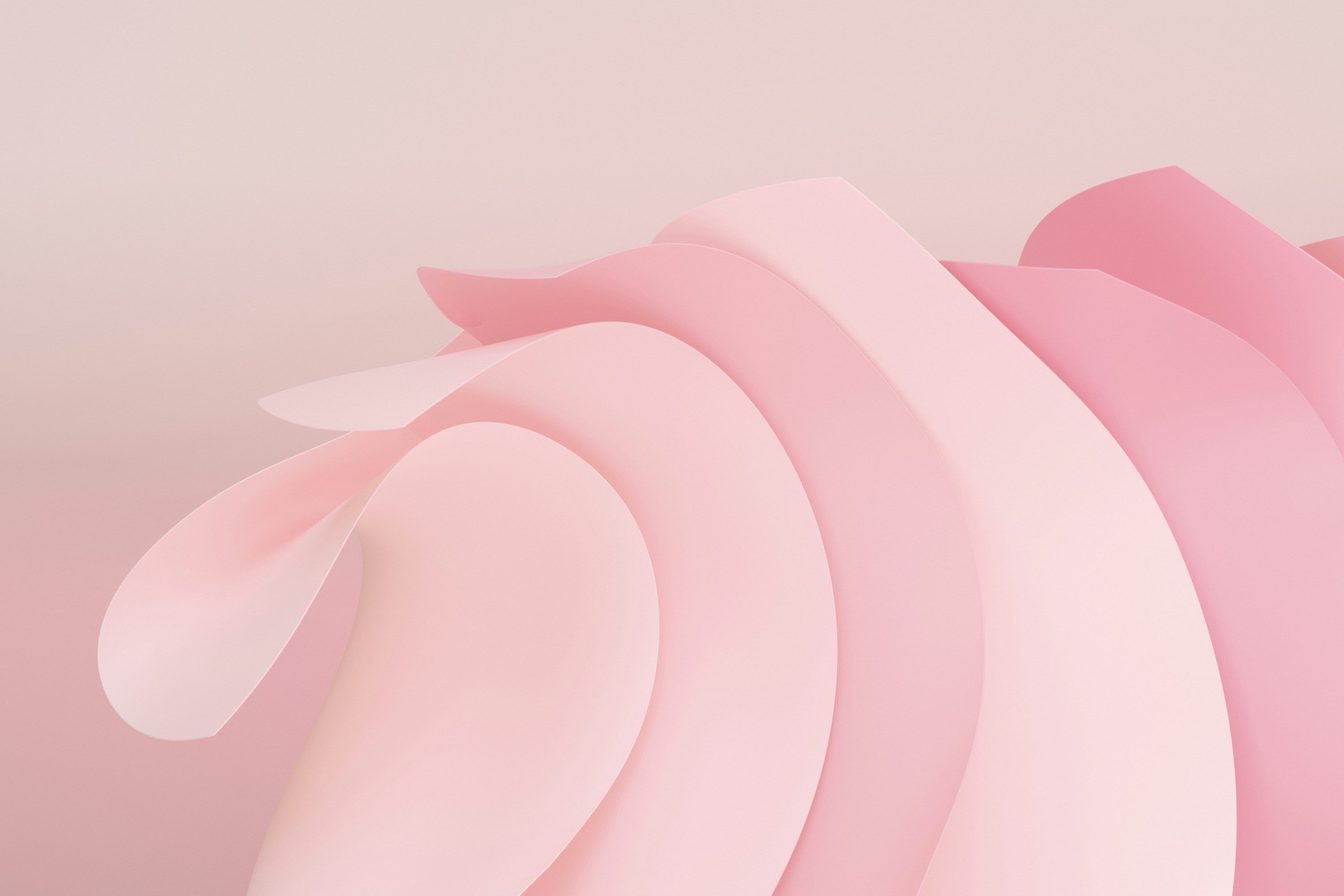 3000x2000 Girly Wallpaper: Free HD Download [4K]