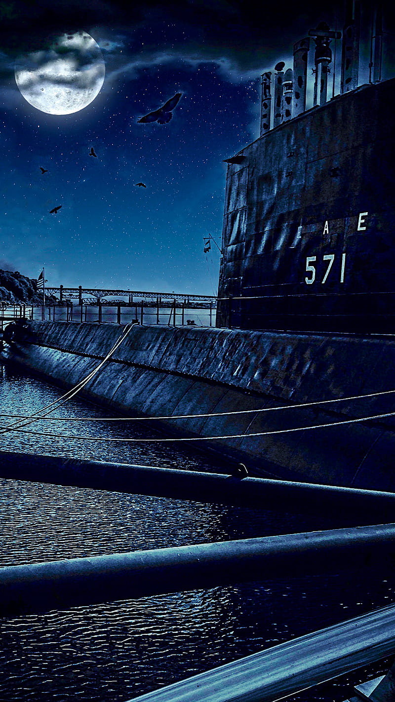 800x1422 Moonlit Submarine”, ColetteLrsn, american, birds, bridge, dock, docked sub, HD phone wallpaper