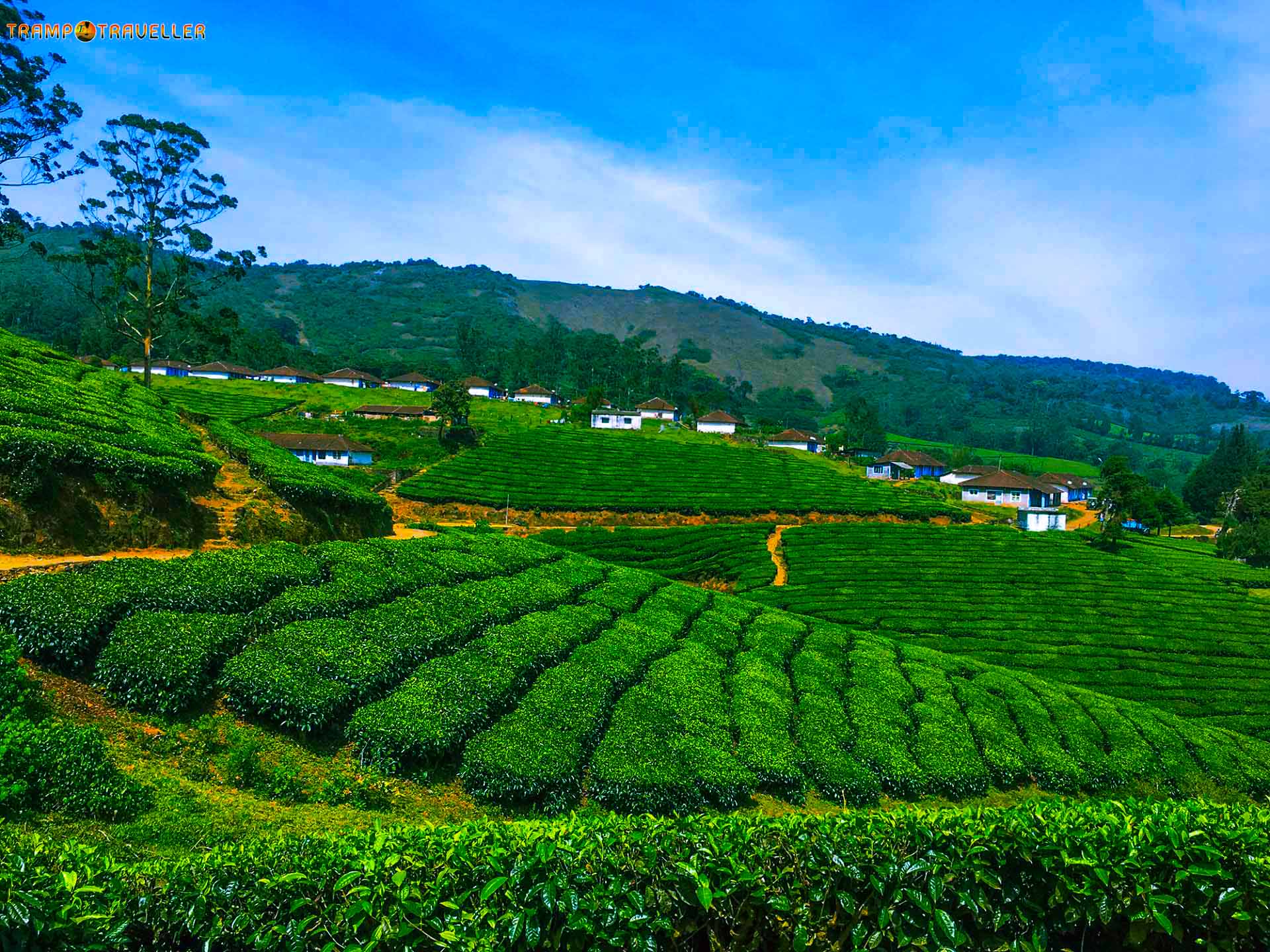 1920x1440 THENI