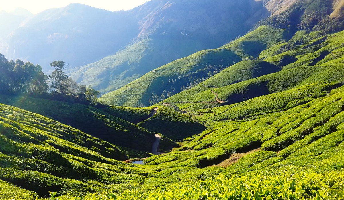 1200x700 THE 10 BEST Places to Visit in Theni District (2026)