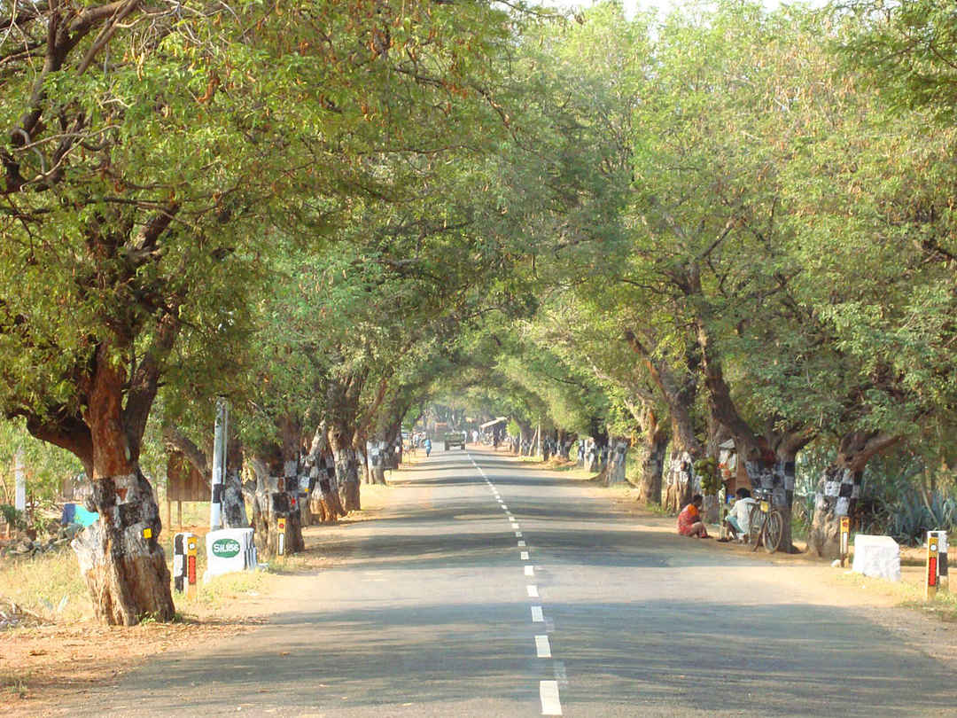 1080x810 Theni, Tamil Nadus Cultural Town