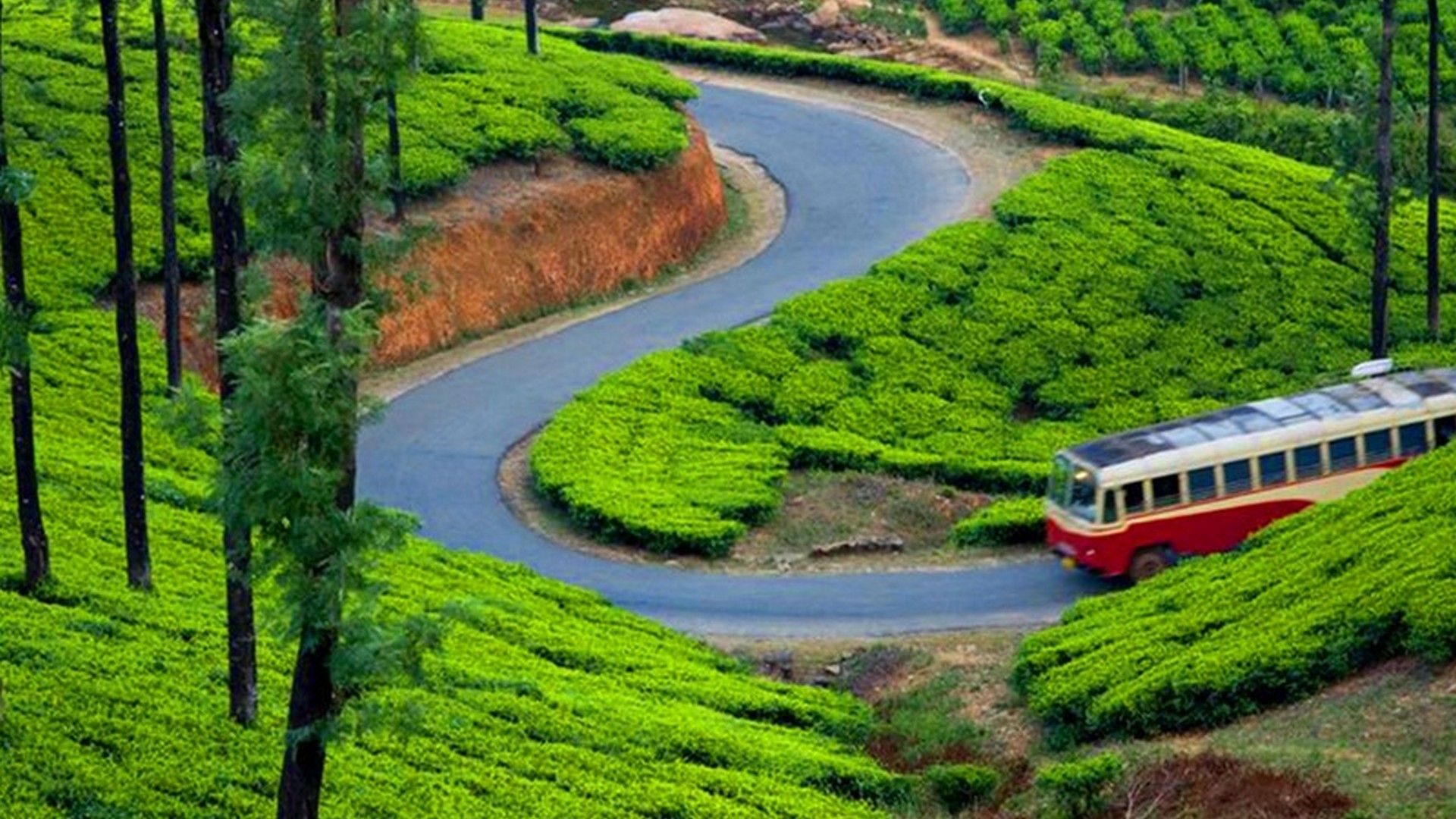 1920x1080 Theni Munnar Alleppey 3n 4d Tour Services at 35000.00 INR in Theni. Rengha Holidays & Tourism Pvt Limited