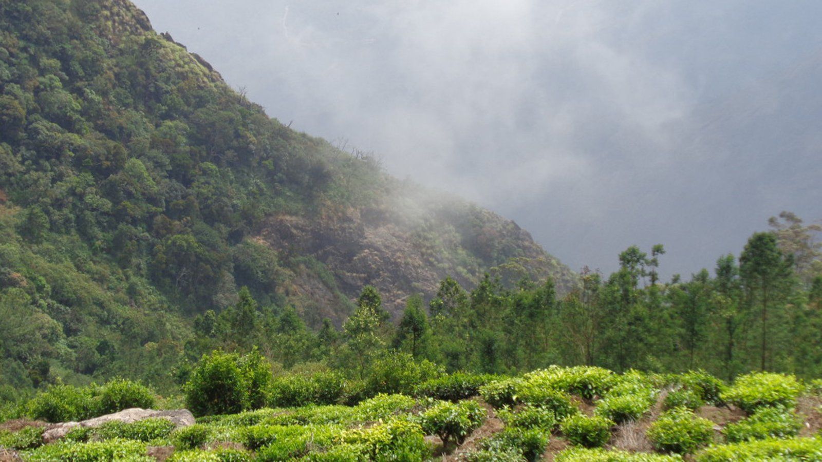 1600x900 theni tour package 1n2d 2 days theni meghamalai package high wavy mountains special from chennai