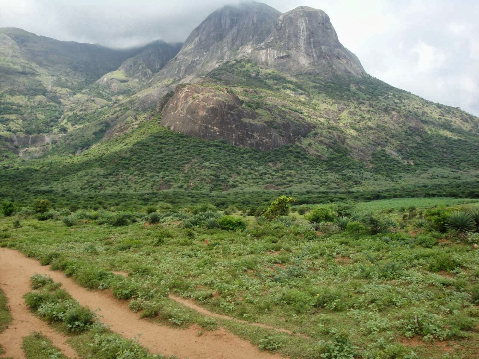 1600x1200 THENI District: Neutrino project in theni