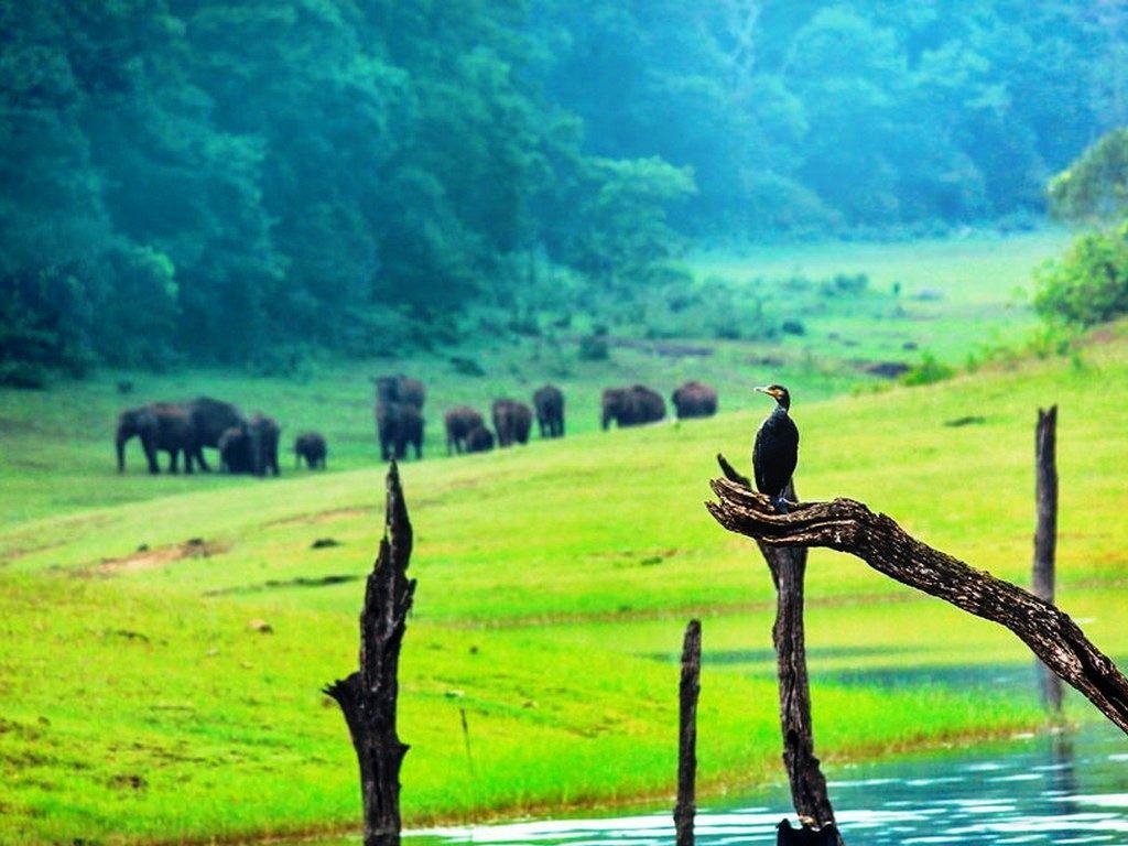 1024x768 Theni To Thekkady: 3 Day Nature & Culture Itinerary Travels At ₹ 25000 Day, Theni
