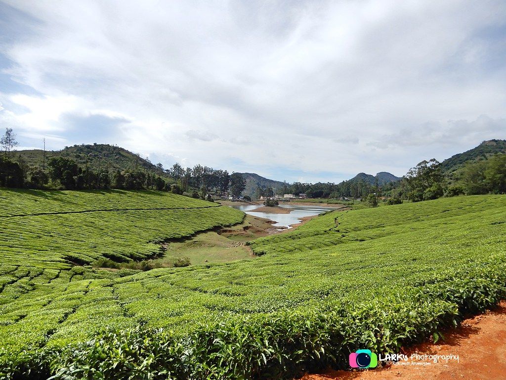 1024x768 Highwavys. Highwavys, Megamalai, Theni. Highwavys is around