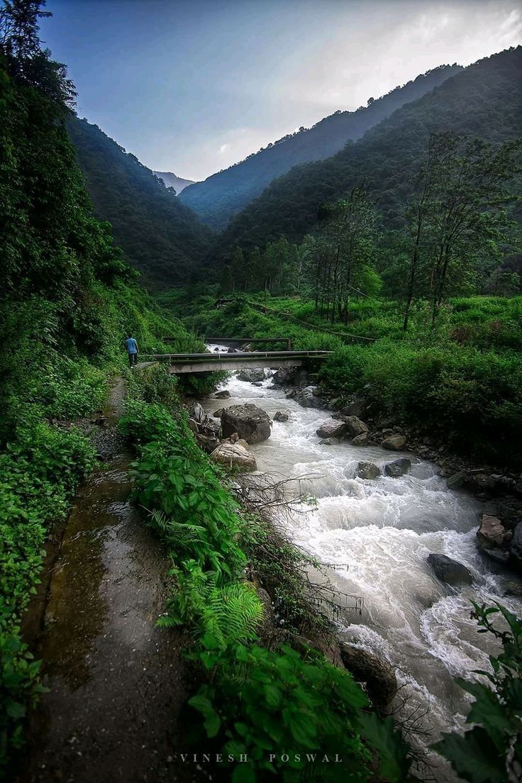 736x1104 Uttarakhand nature. Uttarakhand scenic view, Lansdowne uttarakhand image, Dehradun uttarakhand