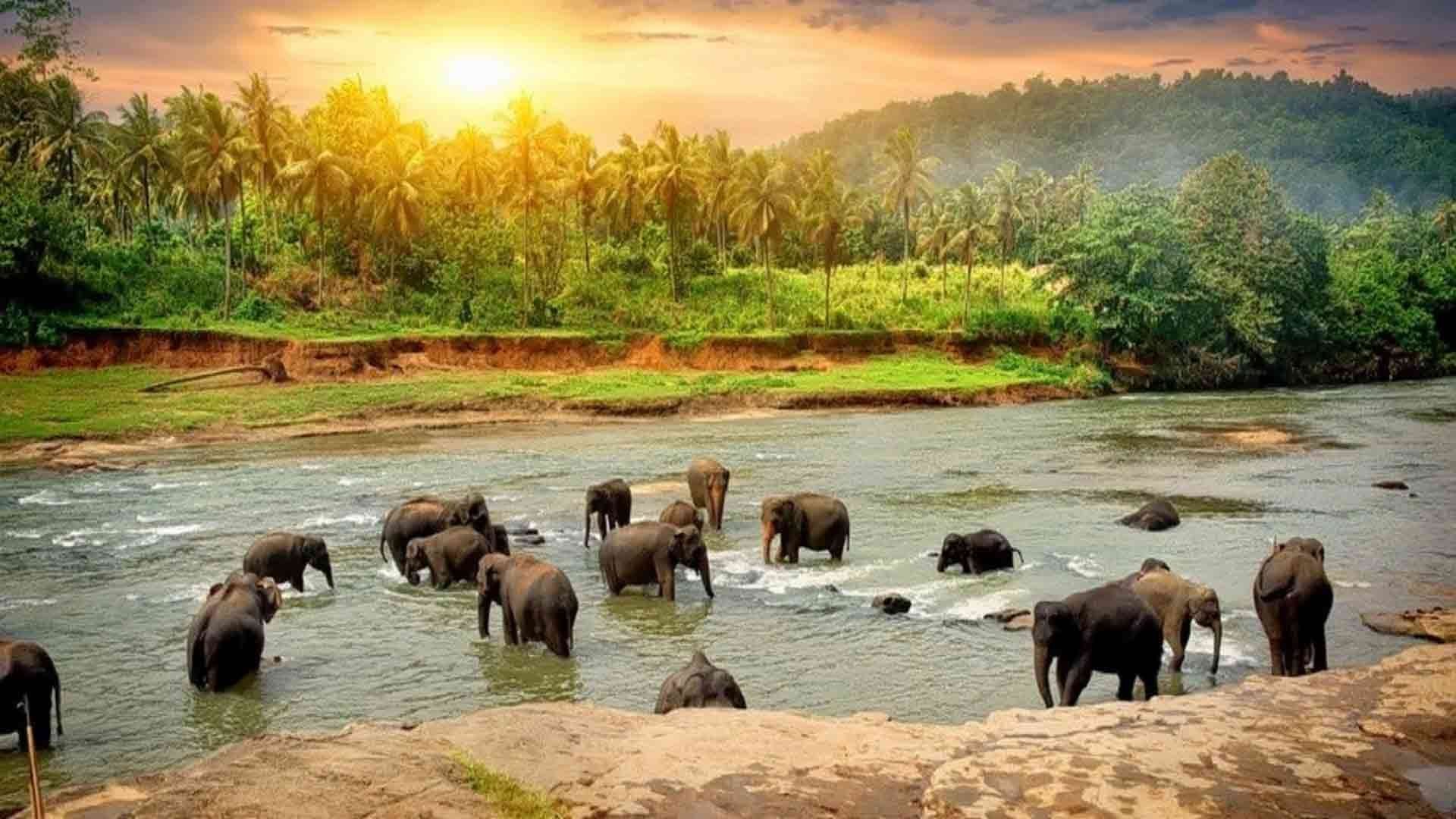 1920x1080 Theni To Thekkady & Return At ₹ 25000 Day In Theni