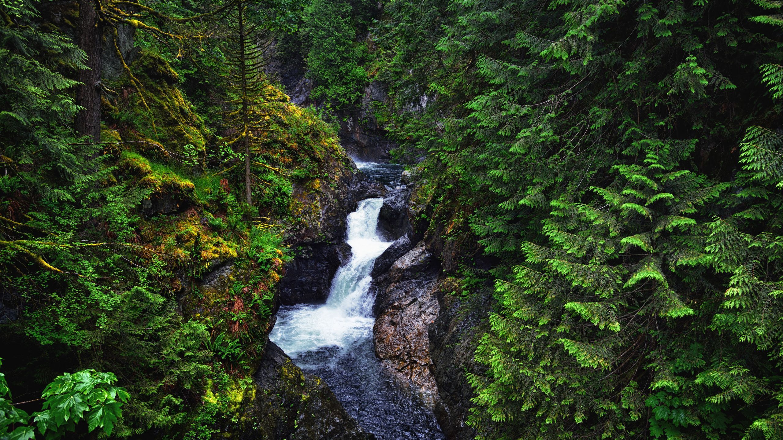2560x1440 Twin Falls