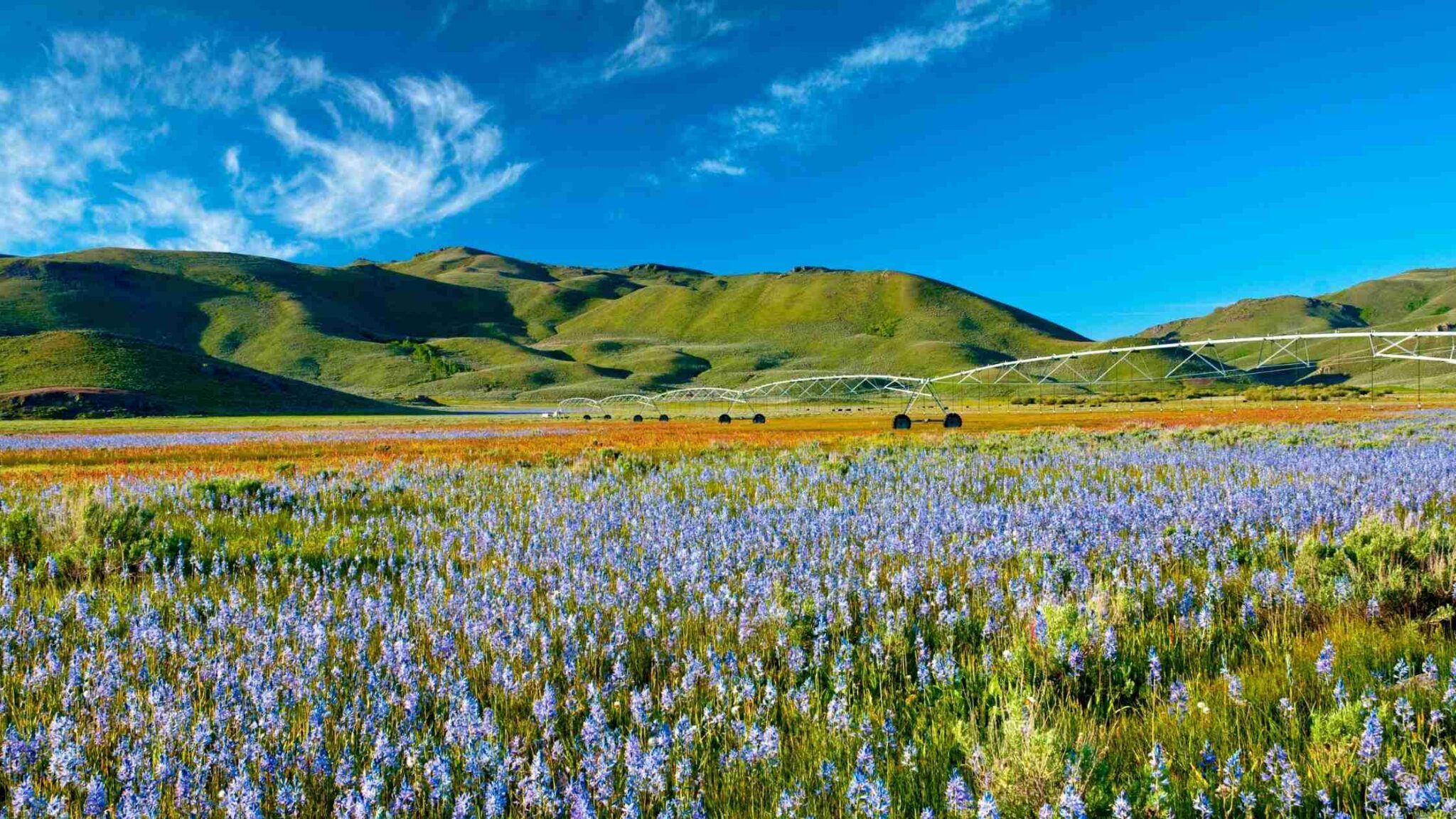 2048x1152 Amazing Day Trips From Twin Falls Idaho You Should Check Out