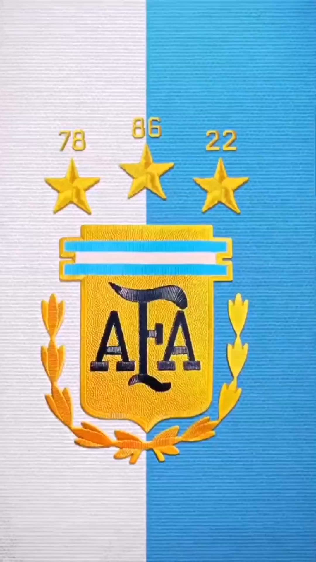 1080x1920 Argentina soccer flag. Argentina flag football design, Argentina football team logo wallpaper, Fc