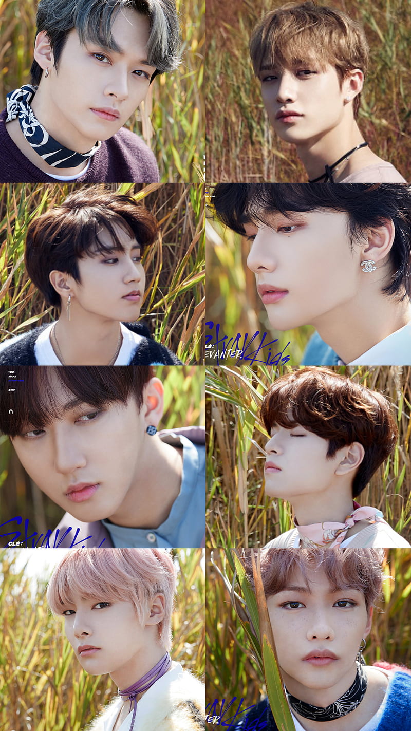 800x1423 Straykids, bangchan, felix, han, hyun jin, in, kpop, lee know, seung min, stray kids, HD phone wallpaper